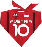 Country Style Soccer Jersey Dog Bandana | Country & Flag| Soccer Jersey Style |100% Cotton Adjustable Triangle || 1840 (Mexico, One Size) - Image 9