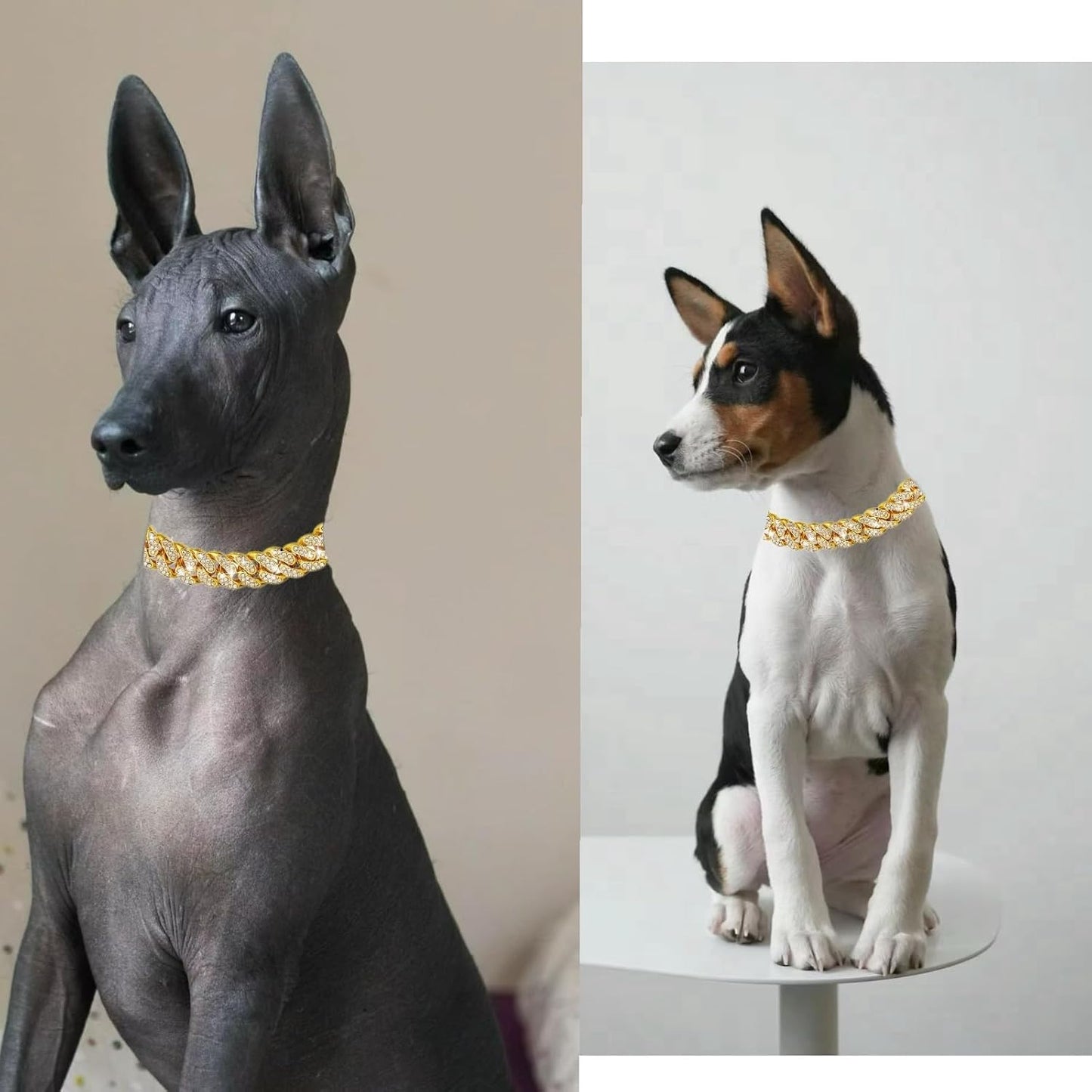 Premium zinc alloy gold dog chain displayed flat to reveal the sparkling rhinestone layout