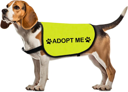Zuo Bao rescue dog jacket vest front view showing lime yellow fabric and adjustable strap system