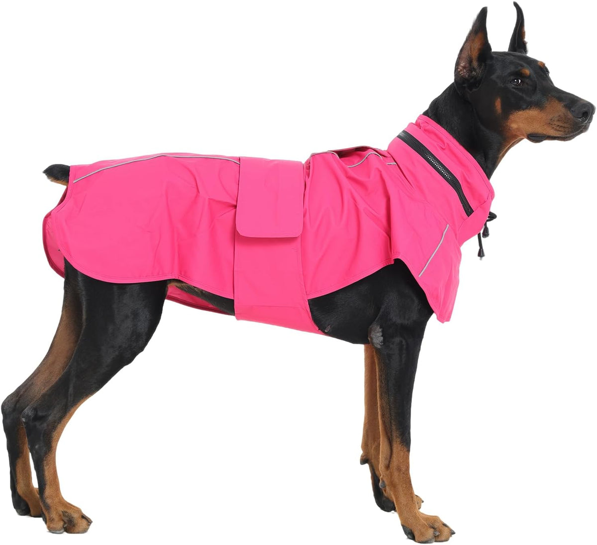 Full coverage wet weather pet apparel for giant breeds