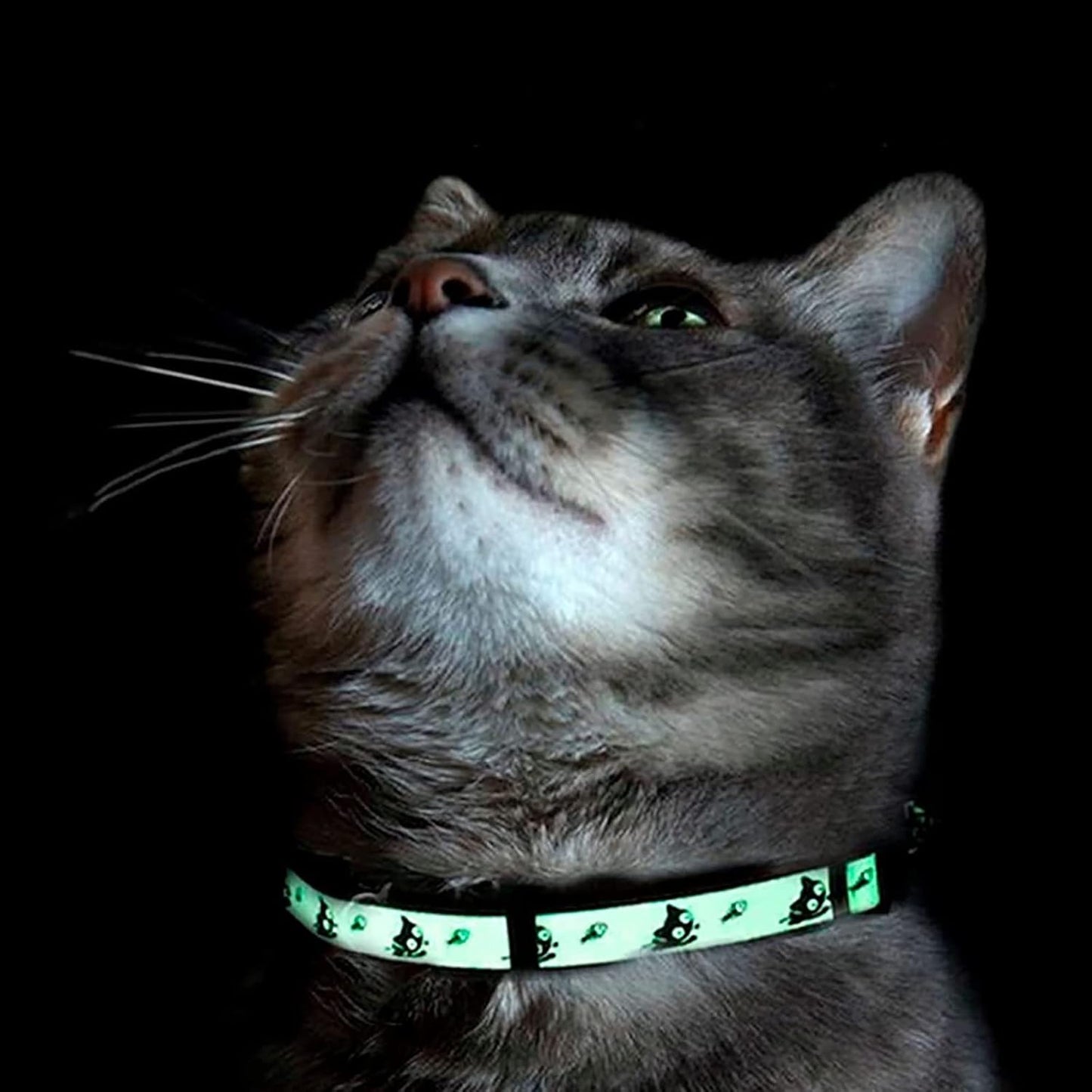 Breakaway kitten collar in hot pink demonstrating the automatic pressure release mechanism.