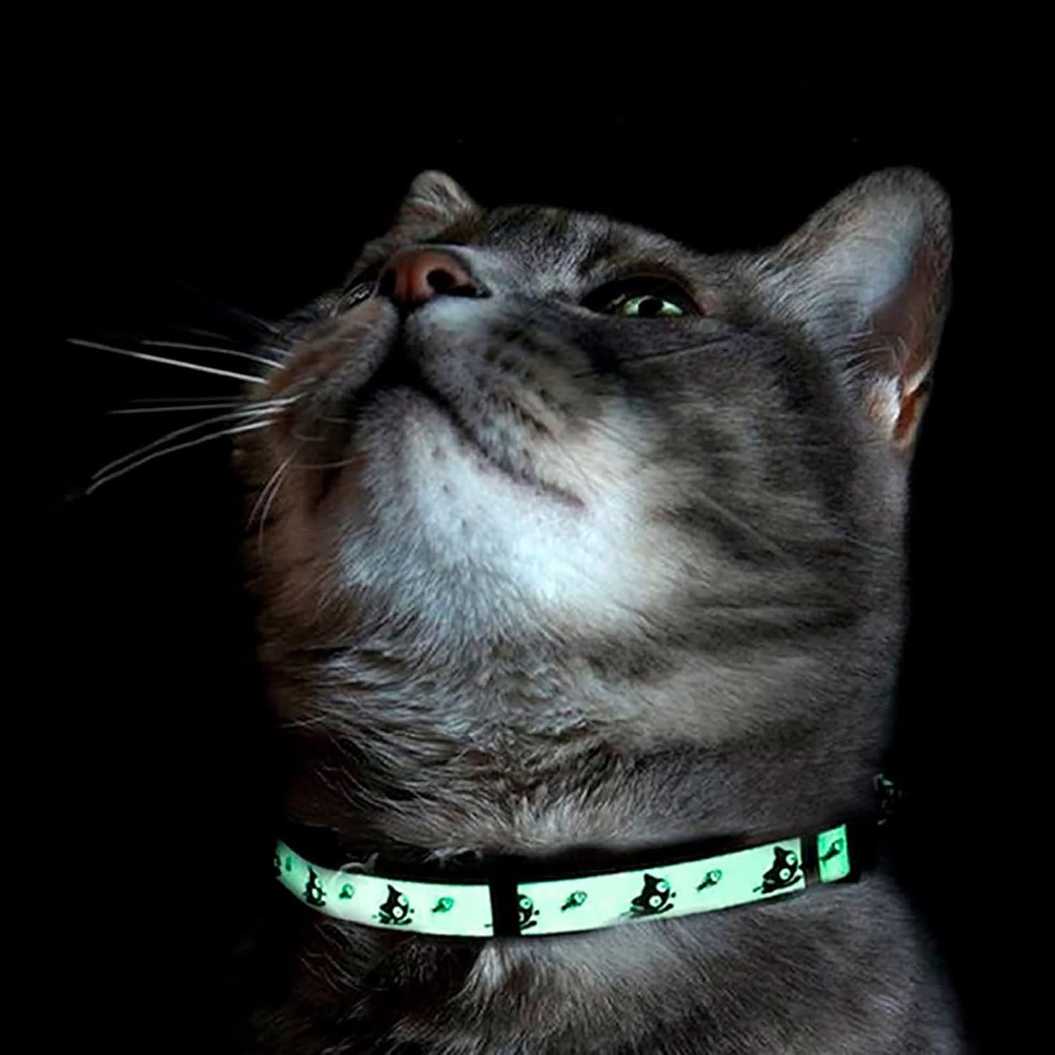 Breakaway kitten collar in hot pink demonstrating the automatic pressure release mechanism.