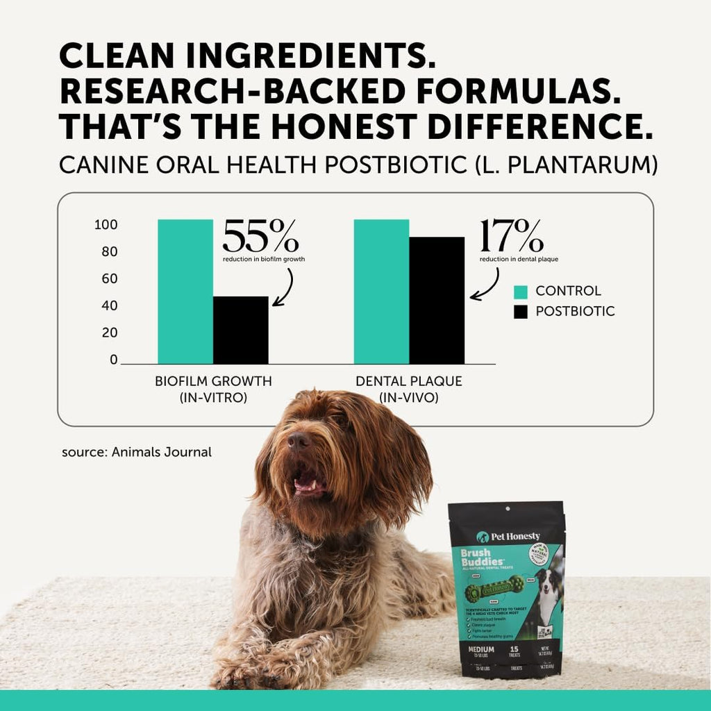 Medium size dog dental chews package by Pet Honesty highlighting the 2x longer lasting formulation.