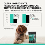 Medium size dog dental chews package by Pet Honesty highlighting the 2x longer lasting formulation.