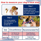 SZEE triangle dog bandana pack laid flat displaying both festive designs.