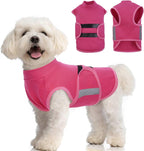 MIGOHI Dog Anxiety Relief Coat,Comfort Anxiety Vest for Dogs,Adjustable Dog Anxiety Calming Wrap for Fireworks,Thunderstorms,Travel,Separation,Anxiety Jacket for Small Dogs,S,Purple - Image 14
