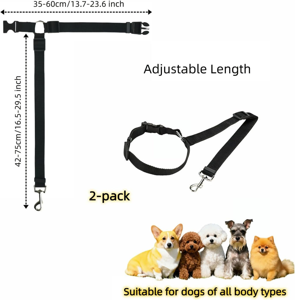 Demonstration of 2-in-1 leash and car safety functionality