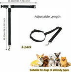 Demonstration of 2-in-1 leash and car safety functionality