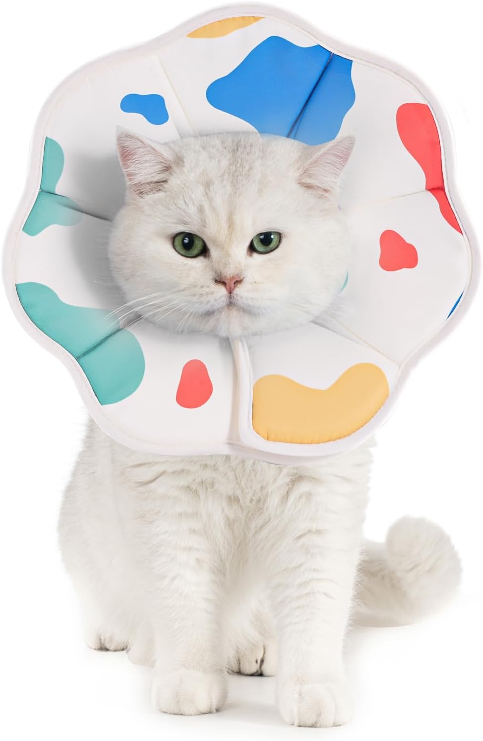Avont lightweight pet elizabethan collar comfortable neck support