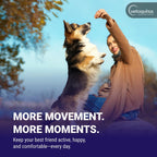 Flexadin Advanced daily joint supplement for senior dogs and cats