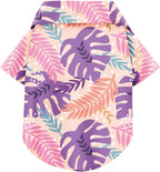 Comfortable dog clothes for outdoor vacation