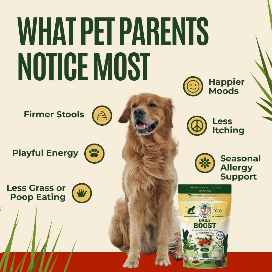 Imported USA dog gut health supplement container on a clean background.