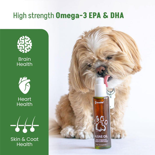 Vet Promise plant based alternative fish oil liquid supplement for dog allergy and itch relief.