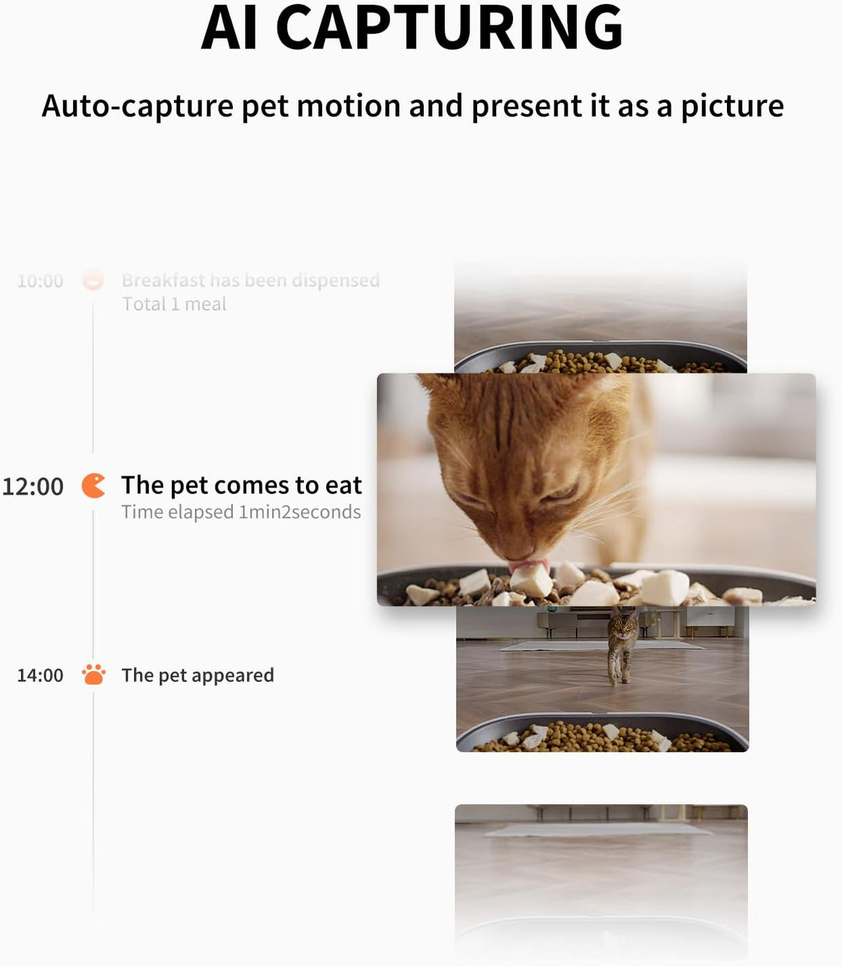 PETKIT smart pet food dispenser with night vision camera lens detail