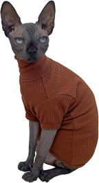 Sphynx cat wearing comfortable turtleneck sweater indoors