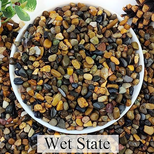 Yiszm natural river rocks used as decorative succulent plant top dressing