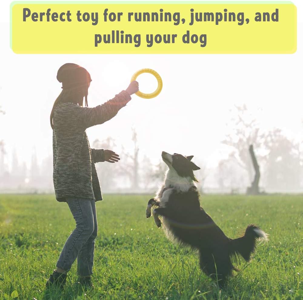 PetSpy floating dog training ring in water