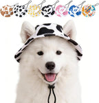 Dog headgear for outdoor sports and walking