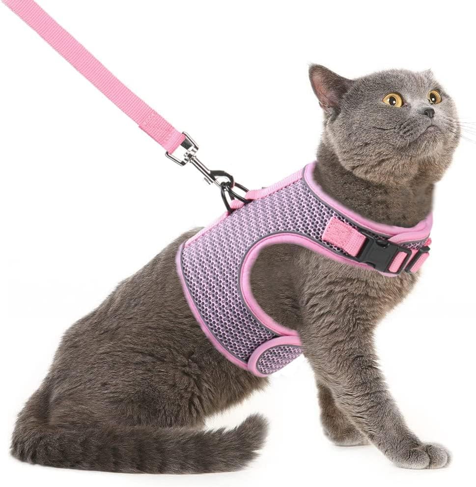 PUPTECK Soft Mesh Cat Vest Harness and Leash Set Puppy Padded Pet Harnesses Escape Proof for Cats Small Dogs (X-Large, Lake Blue) - Image 10