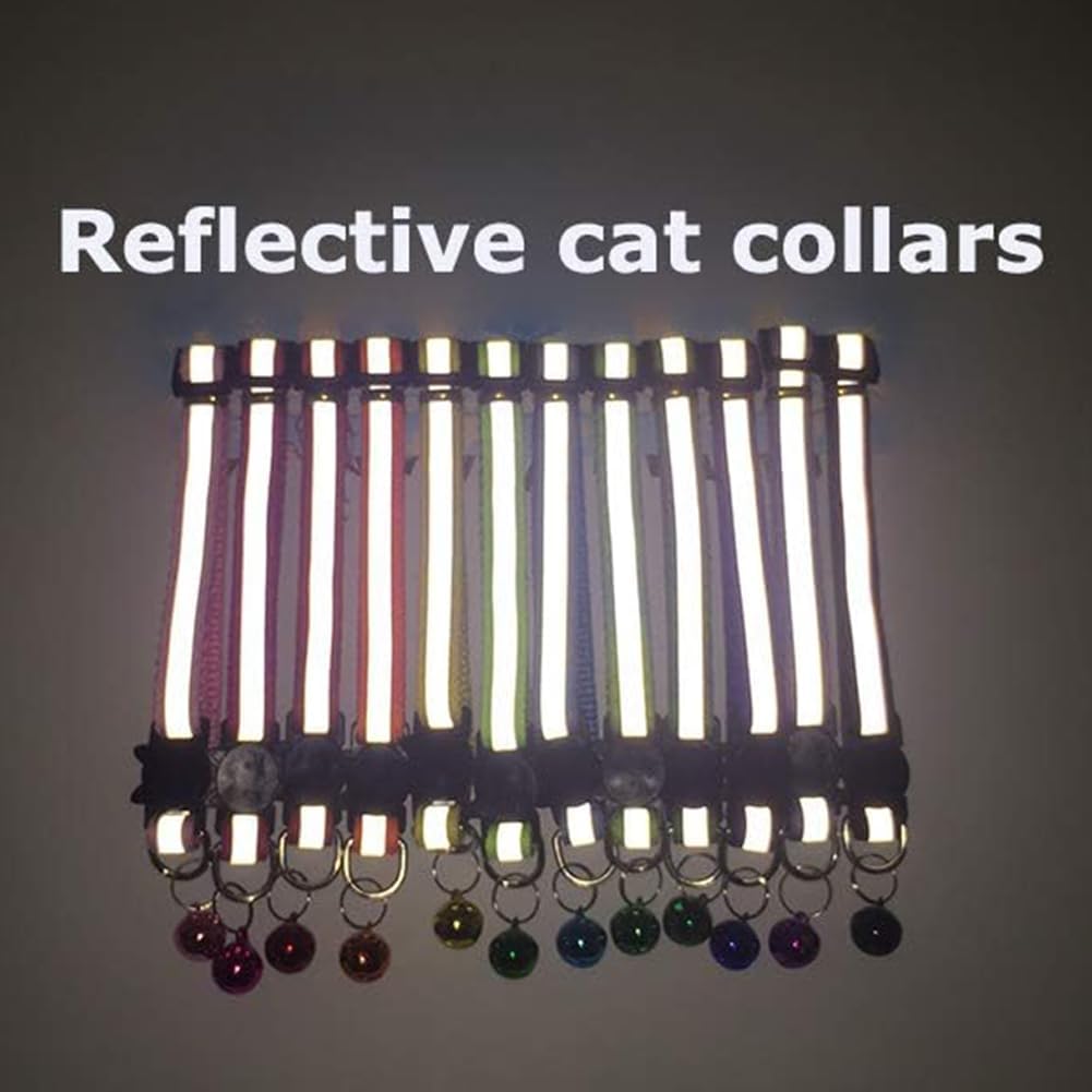 Adjustable tri-glide slider mechanism on a premium nylon cat collar for sizing flexibility