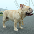 Adjustable sixteen inch faux gold pet jewelry chain