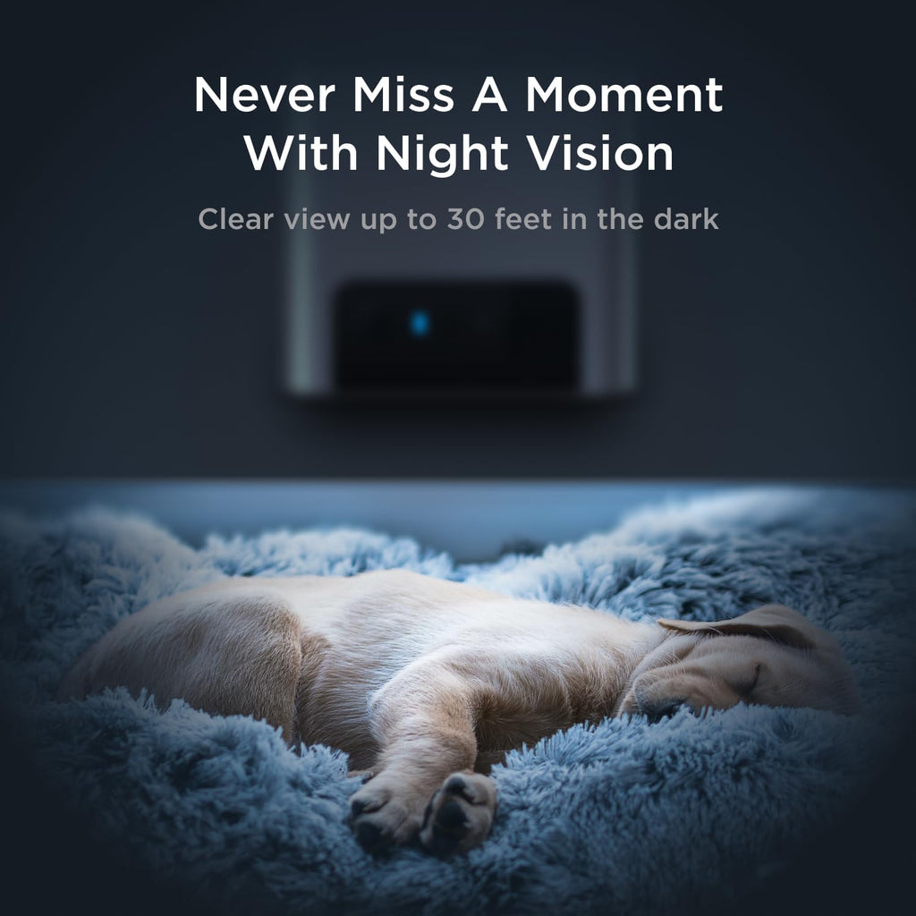 Petcube Bites 2 Lite infrared night vision mode displaying a cat in the dark