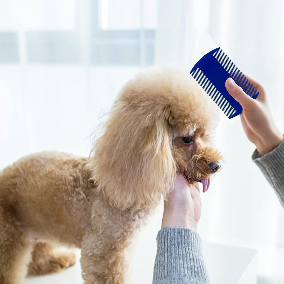 Using MoHern pet comb on cat fur for flea removal