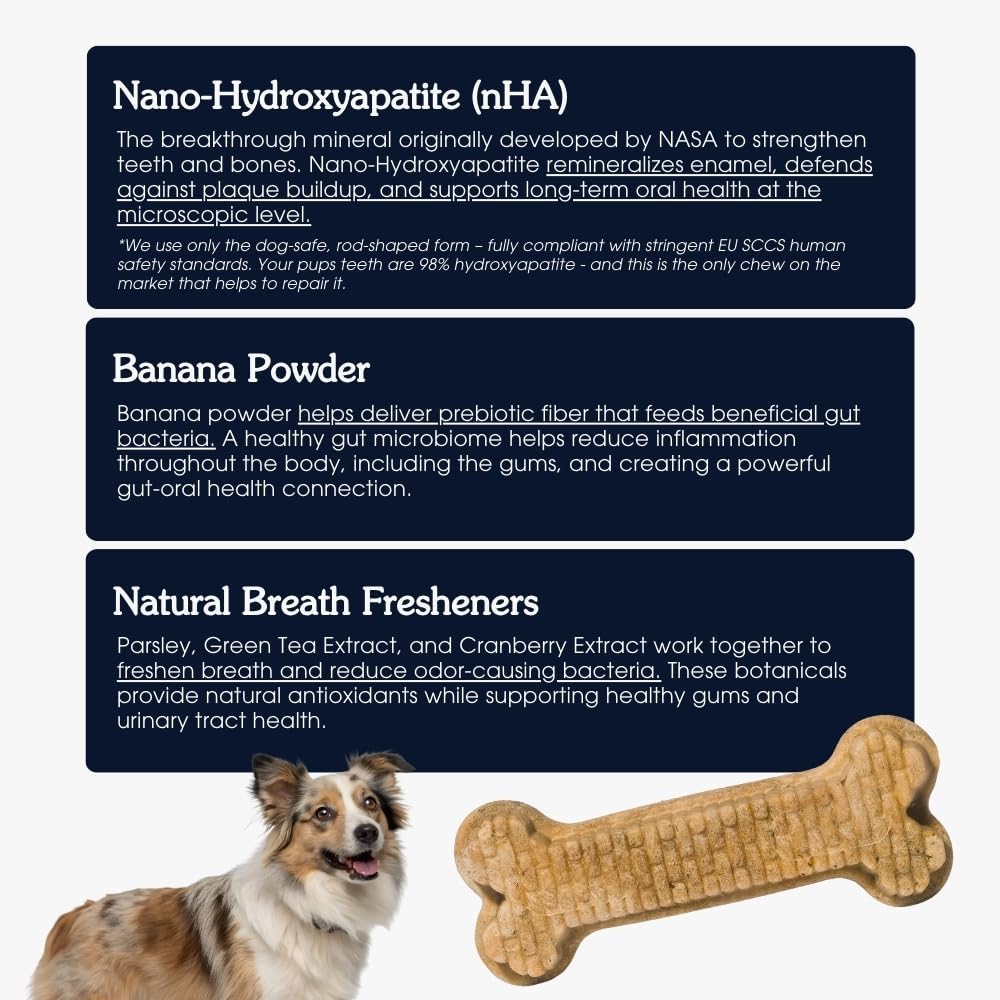 Arterra canine dental chews displaying back panel feeding guidelines