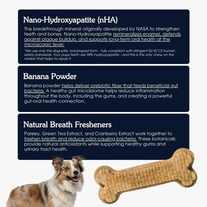 Arterra canine dental chews displaying back panel feeding guidelines