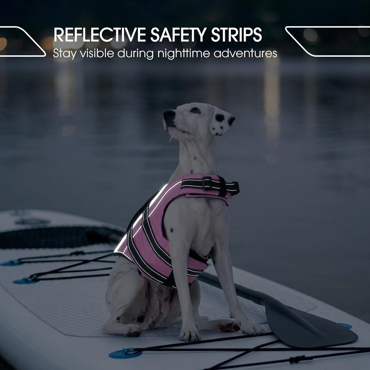 FUAMEY pet buoyancy swim jacket highlighting the metal leash D-ring