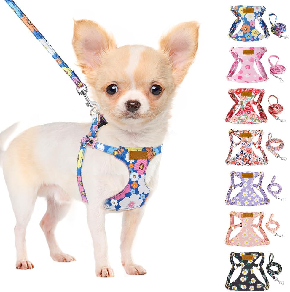 SlowTon authentic USA imported puppy harness with matching walking lead