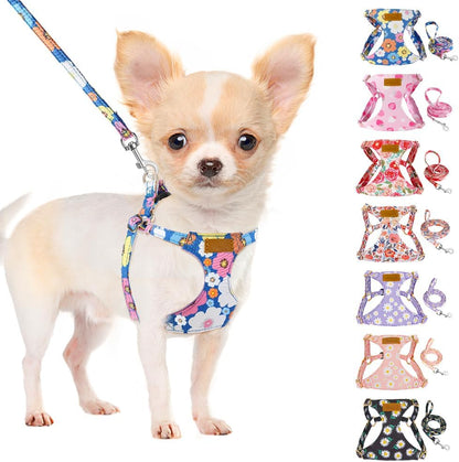 SlowTon authentic USA imported puppy harness with matching walking lead