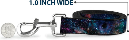 Buckle-Down branded pet leash for dogs
