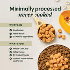 Instinct pet food bag standing upright displaying the gut health functional recipe graphics