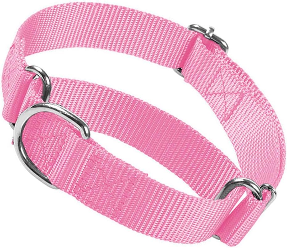 Martingale Collar for Dogs, No Pull Dog Collars for Large Dogs Heavy Duty No Slip Training Dog Choker Collar for for Small Medium Large Dogs (Black, M) - Image 10