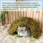kathson 1Pcs Hamster Hideout, Moss Coconut Hut, Pet Hiding House, Hamster House for Mouse Mice Rat Guinea Pigs Reptiles - Image 5