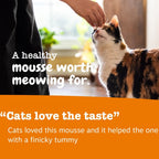 Premium chicken flavored puree cat treat for healthy cell function