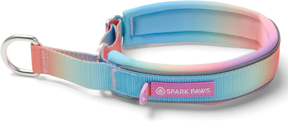 Spark Paws Martingale Dog Collar - Cushioned Slip-On Training Collar, Heavy Duty, Safety-Tested No-Buckle Collar for Medium & Large Dogs - 90s Retro - C - Image 13