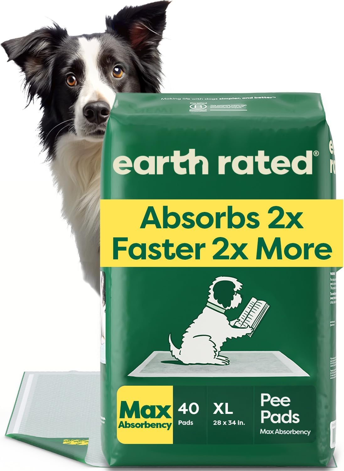 Earth Rated Puppy Pads, Max Absorbency Pee Pads for Dogs, Absorbs 2X Faster & 2X More, Leak Prevention, Potty Training, Fragrance-Free, Unscented, Regular [L], 22" x 23", 40 Count - Image 11