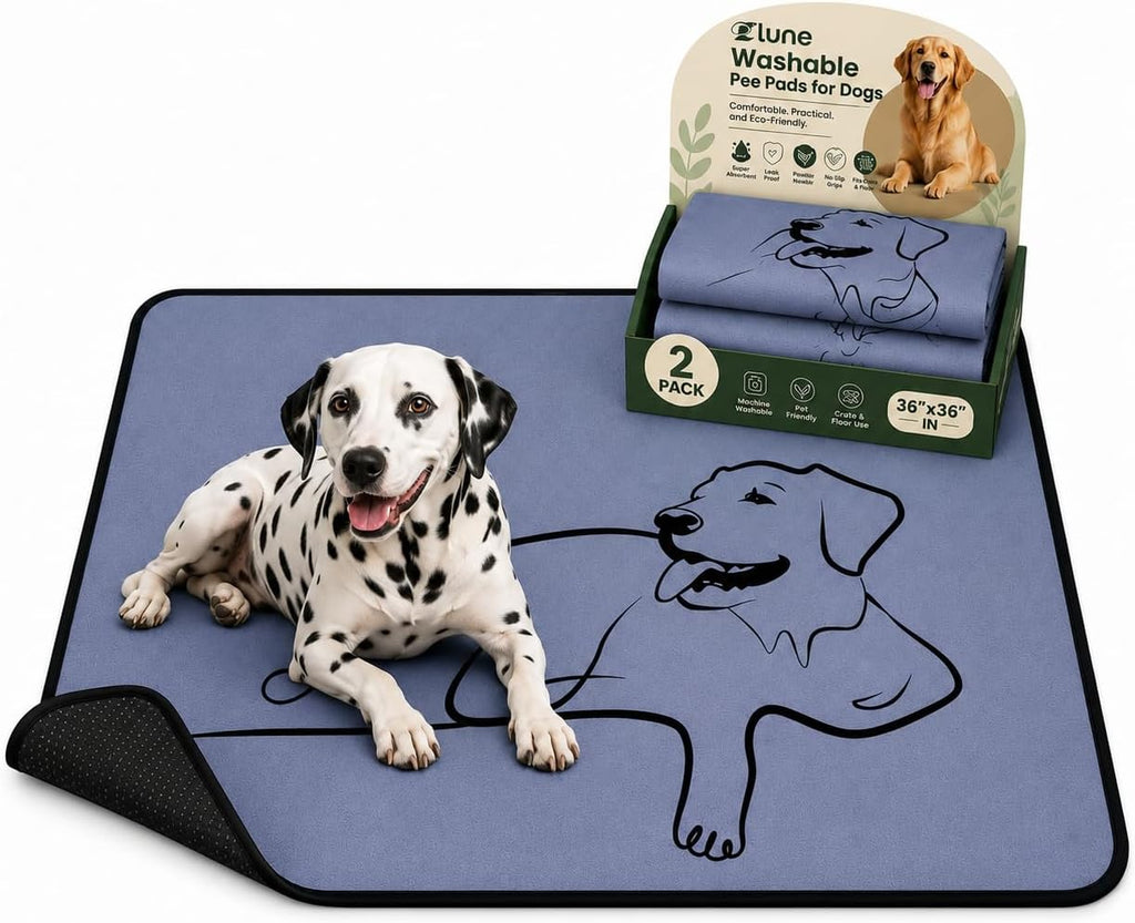 4 Pack Washable Pee Pads for Dogs 18"x24", Reusable Training Puppypads Absorbency Non-Slip & Leak-Proof for Pet Whelping Box Playpen Crate Sofa Bed Floors (Gray) - Image 15