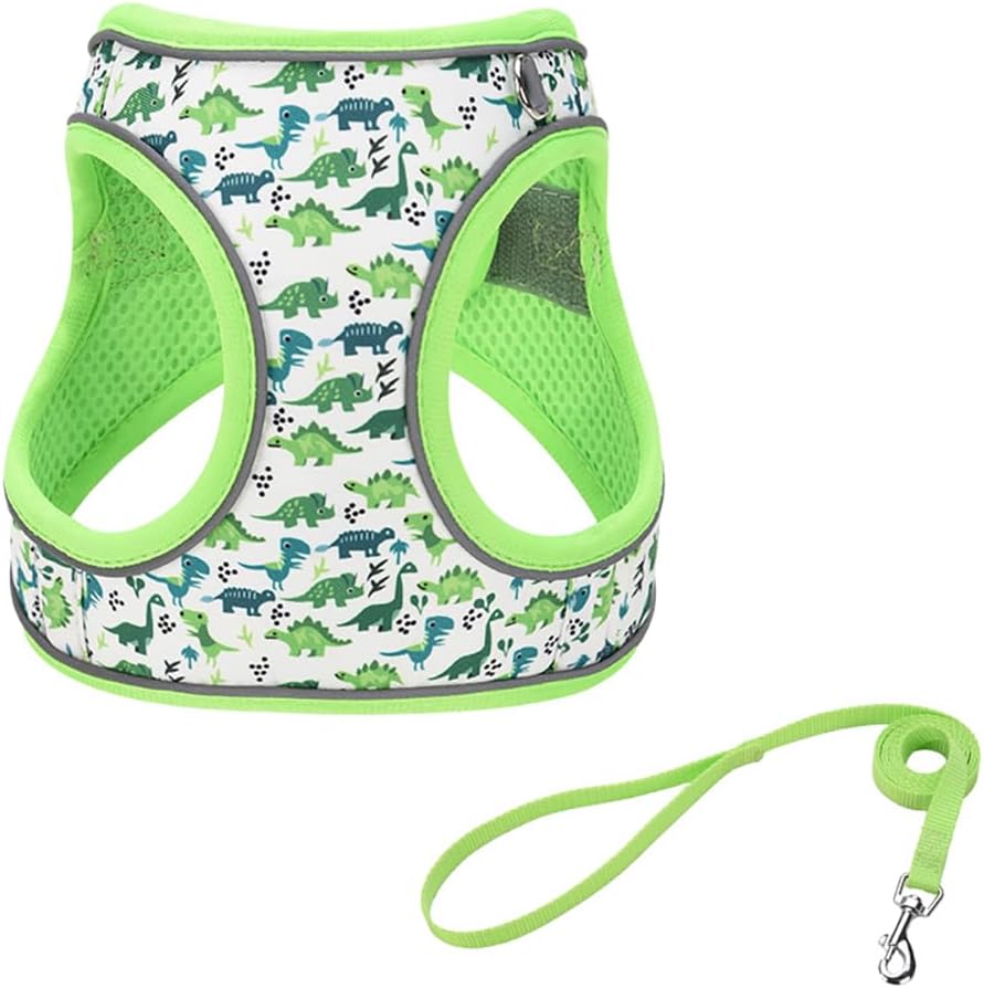 Step in Dog Harness and Leash Set, Flower Adjustable Easy Walk Puppy Harnesses, Soft Mesh No Pull Pet Vest Harness for Small Dogs and Cats(Strawberry, XS) - Image 13