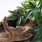 Packaged SLSON hanging silk terrarium plant ready for setup
