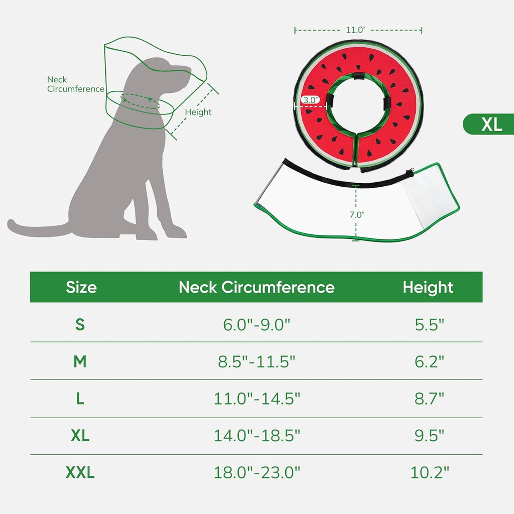 Detachable high transparency shield removed from sponge dog collar
