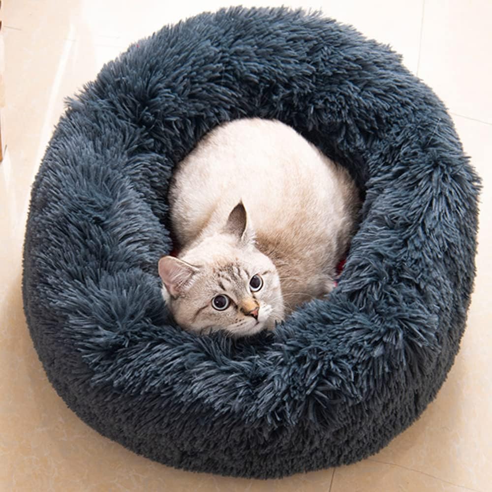 Small dog sleeping in washable anti anxiety round bed