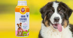 Hand holding 4.2 ounce bottle of dog dry shampoo