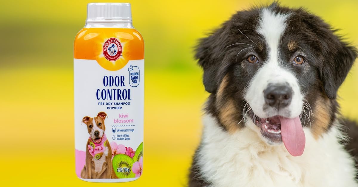 Hand holding 4.2 ounce bottle of dog dry shampoo