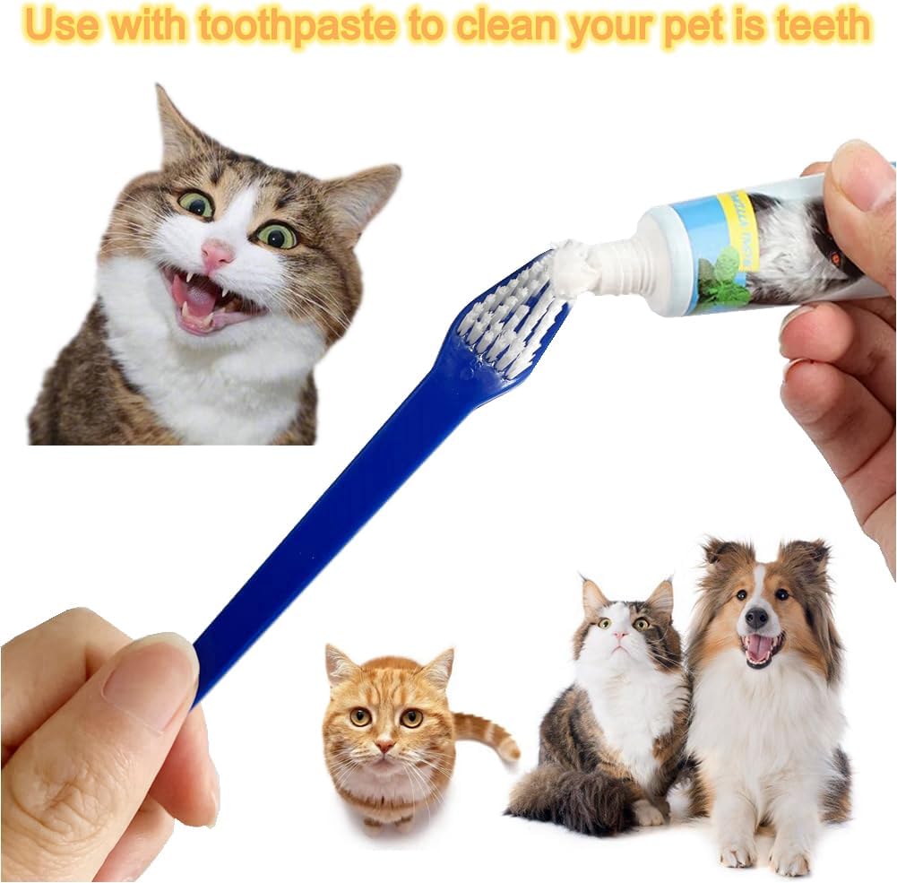 Pet owner using Juwantu long handled toothbrush on dog