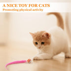 SHENGSEN interactive cat toys pack displaying pink, orange, purple, and green fuzzy magic worms.