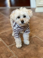 Comfortable winter dog sweater layout showing the premium stitching finish