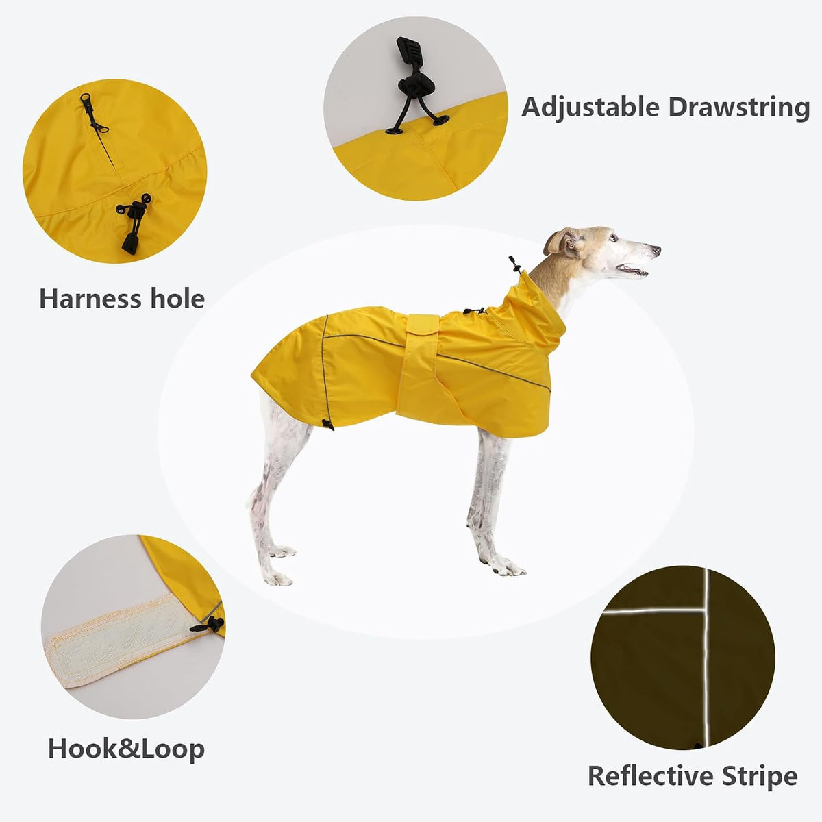 Morezi yellow sighthound coat demonstrating the rear leash portal functionality.